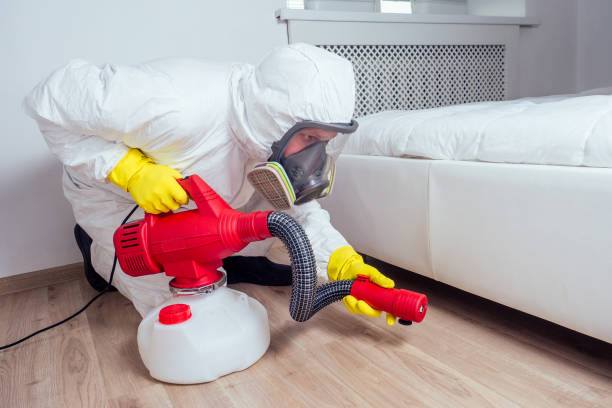 Best Fumigation Services  in Lake Holiday, IL